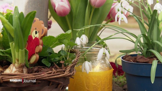 Kerzen und Blumen wurden in Gedenken an den verunglückten Jungen an die Unfallstelle gelegt. © Screenshot 