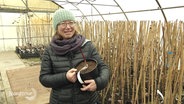 Ute Hinrichs in ihrer Obstgärtnerei mit einem Bäumchen in den Händen. © Screenshot 