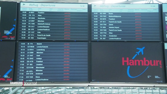 Anzeigetafel am Flughafen Hamburg mit vielen gestrichenen oder stornierten Flügen. Das Hamburg-Logo mit einem stilisierten Flugzeug ist unten rechts zu sehen. © Screenshot 