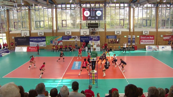 Ein Spiel der Stralsunder Wildcats von der Tribüne aus gesehen. © Screenshot 