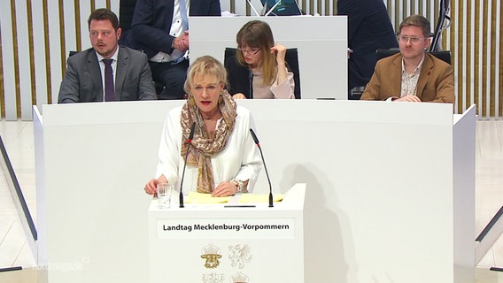 Die Politikerin Simone Oldenburg (DIE LINKE) im Landtag in Schwerin. © Screenshot 