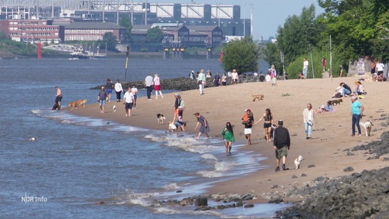 Der hamburger Elbstrand. © Screenshot 