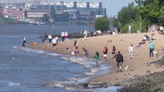 Der hamburger Elbstrand. © Screenshot 