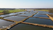 Blick aus der Vogelperspektive auf einen größeren Fischzuchtbetrieb auf dem Land mit mehreren Zuchtbecken. © Screenshot 