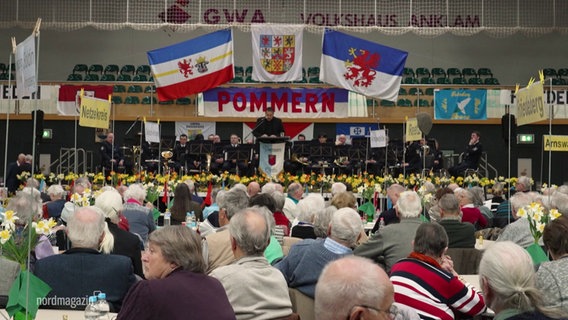 Das Pommerntreffen in Anklam. © Screenshot 