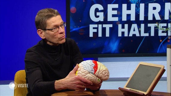 Hirnforscher Prof. Martin Korte. © Screenshot 