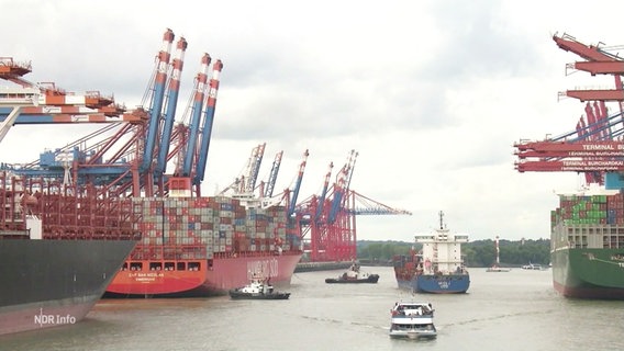 Containerschiffe im Hamburger Hafen. © Screenshot 