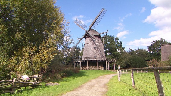 Eine Windmühle im Münsteraner Land. © Screenshot 