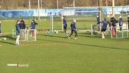 Spielerinnen des HSV absolvieren eine Trainingseinheit. © Screenshot 