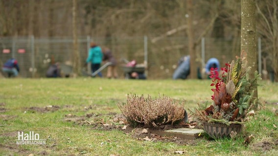 An einem Baum sind zwei Stecklinge gepflanzt, im Hintergrund arbeiten mehrere Menschen an einem Zaun. © Screenshot 