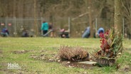 An einem Baum sind zwei Stecklinge gepflanzt, im Hintergrund arbeiten mehrere Menschen an einem Zaun. © Screenshot 