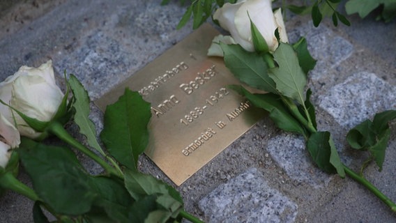 Um den Gedenkstein von Anna Becker liegen mehrer weiße Rosen. © Screenshot 