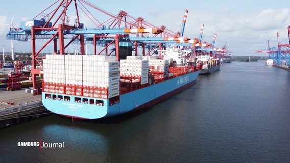 Luftaufnahme zeigt Kräne und Containerschiffen im Hamburger Hafen. © Screenshot 