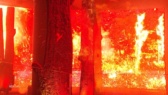 Projektionen, Aufsteller und Licht simulieren einen lodernden Waldbrand. © Screenshot 