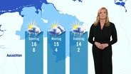 Eine Meteorologin steht vor einer Wettergrafik. © Screenshot 