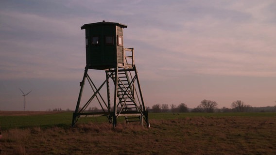 Ein Hochsitz steht auf einem Feld. © Screenshot 