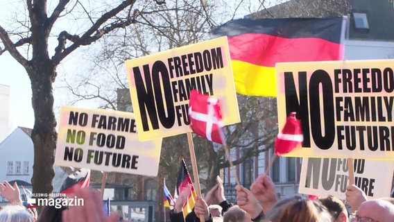 Deutschlandfahnen und Plakate auf einer Demonstration. © Screenshot 