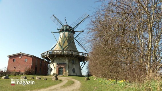 Eine alte Windmühle aus dem 18. Jahrhundert. © Screenshot 