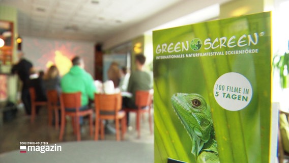 Ein Plakat wirbt für das Green Screen Festival. © Screenshot 