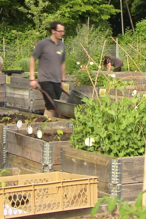 Grüne Oasen: Urban Gardening | NDR.de - Fernsehen ...