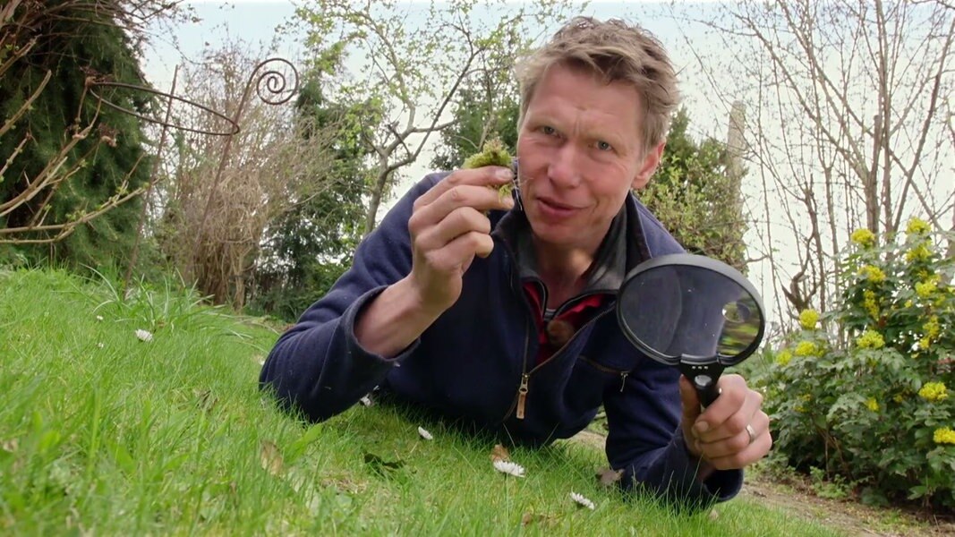 Die GartenDocs helfen Ihnen gern NDR.de Fernsehen