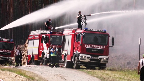 Einsatzkräfte der Feuerwehr löschen beim Waldbrand in Lübtheen. © NDR 