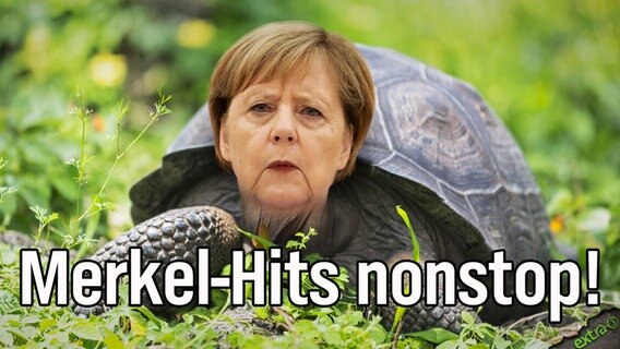 Merkel-Hits nonstop!  