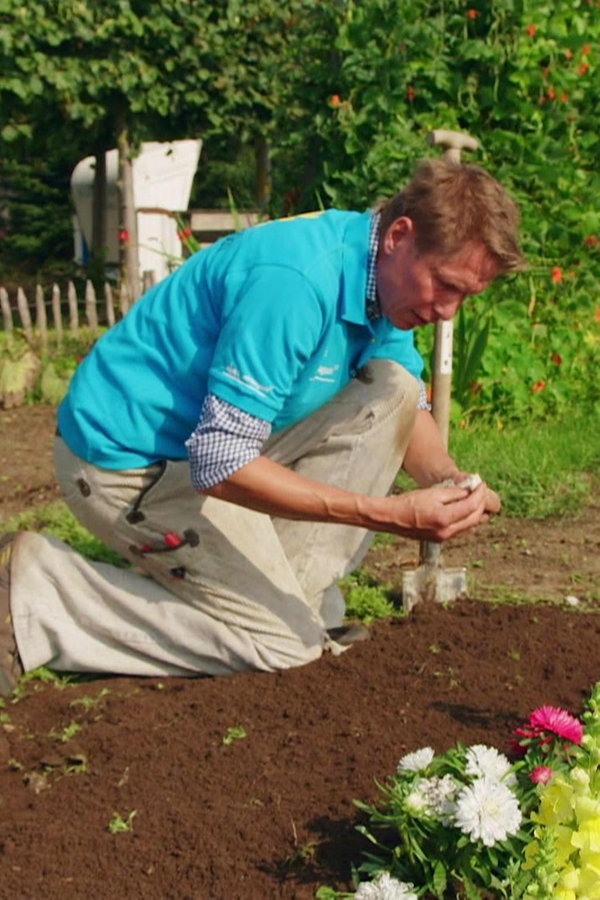 Der Garten im Herbst NDR.de Fernsehen Sendungen AZ