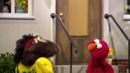 Elmo steht neben dem Pferd, das ein Sport-Shirt trägt. © NDR 