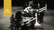 Springreiterin mit Pferd bei Bewältigung eines Hindernisses auf dem Parcours in der Ostseehalle Kiel 1961  