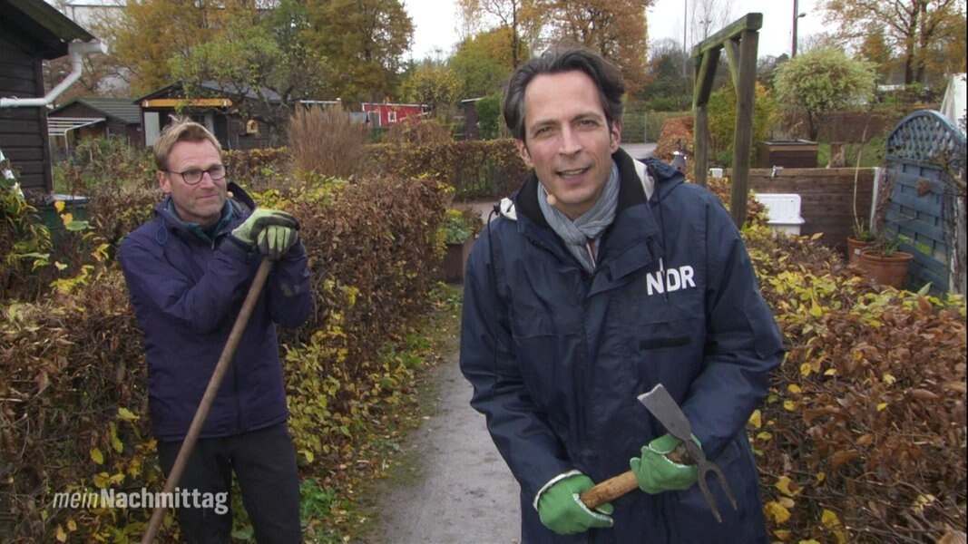 Mein Nachmittag Laube Arbeitseinsatz in der Gartenkolonie