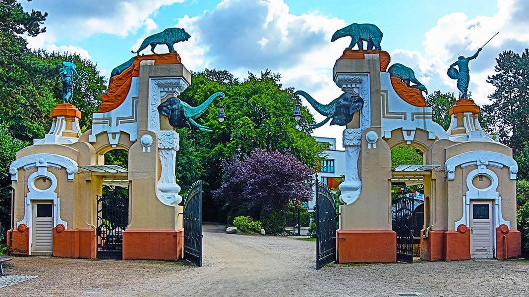 Überraschender Wechsel an der Spitze des Hamburger Tierparks Hagenbeck