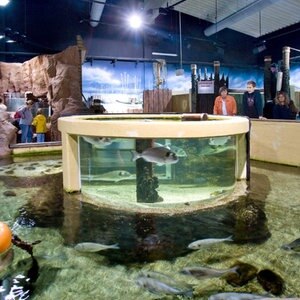 Nordsee Und Tropen Im Sylt Aquarium Ndr De Ratgeber Reise Tierparks