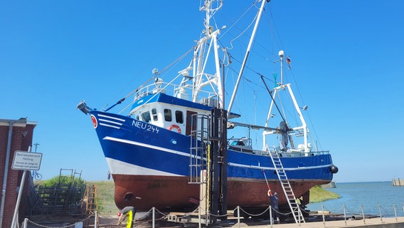 Krabbenkutter gehören für viele zu Ostfriesland dazu. © NDR/Reinhard Bettauer 