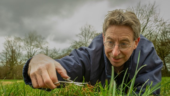 Master Greenkeeper Norbert Lischka schneidet Rasen mit einer Nagelschere. © NDR/Melina Peiter 