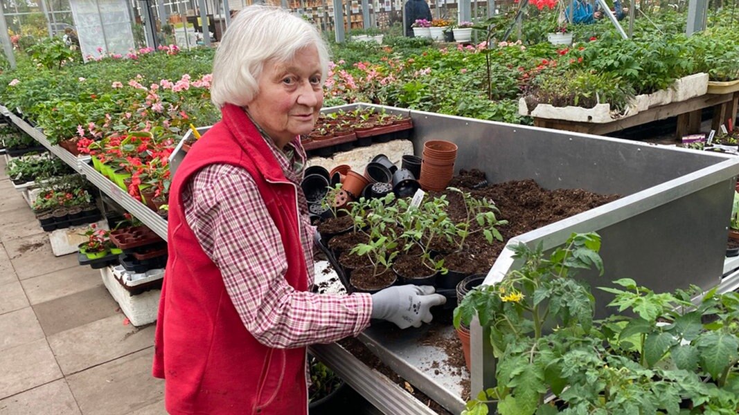 Tomatenalarm! NDR.de Fernsehen Sendungen AZ Die