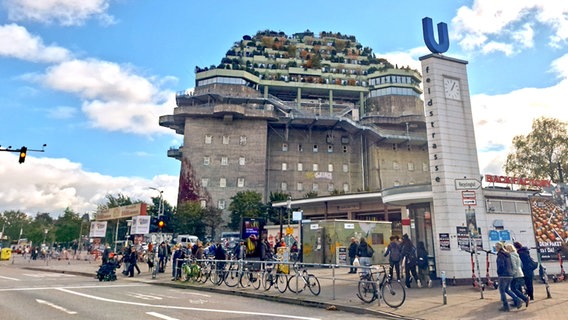 Seit Juli 2024 ist der Dachgarten mit den Grünflächen für alle kostenlos geöffnet. Pro Tag kommen mehreren Tausend Gästen aus Hamburg und der ganzen Welt, um das neue Wahrzeichen auf St. Pauli zu besuchen. © NDR/Die Herren Fernsehen (DHF 