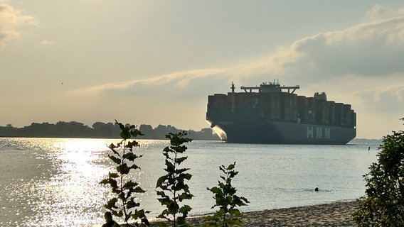 Am Elbstrand in Blankenese hat man die beste Sicht auf die vorbeifahrenden Containerschiffe. © NDR 