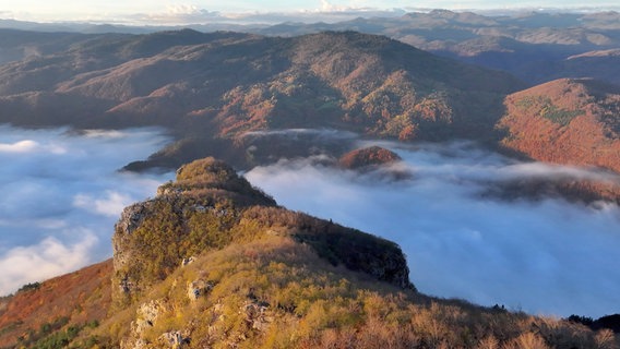 Die Wälder Sloweniens sind nicht nur Lebensraum für Luchse, Wölfe und Braunbären, sie dienen auch als Wanderroute vieler Tiere zwischen dem Balkan und Mitteleuropa. © NDR/Doclights GmbH/Interspot Film/Franz Hafner 