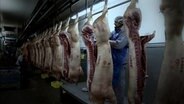 Schweinehälften werden in einem industriellen Fleischbetrieb verarbeitet. © NDR 