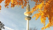 Blick auf den Fernsehturm © Kathrin Wecker Foto: Kathrin Wecker