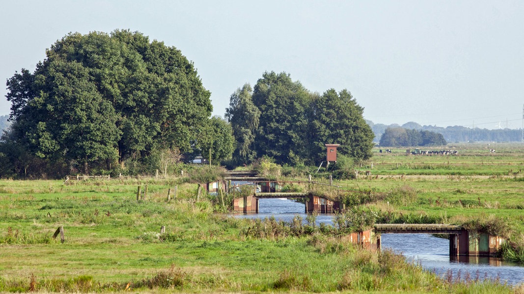 Blockland Bremens ländlicher Stadtteil NDR.de