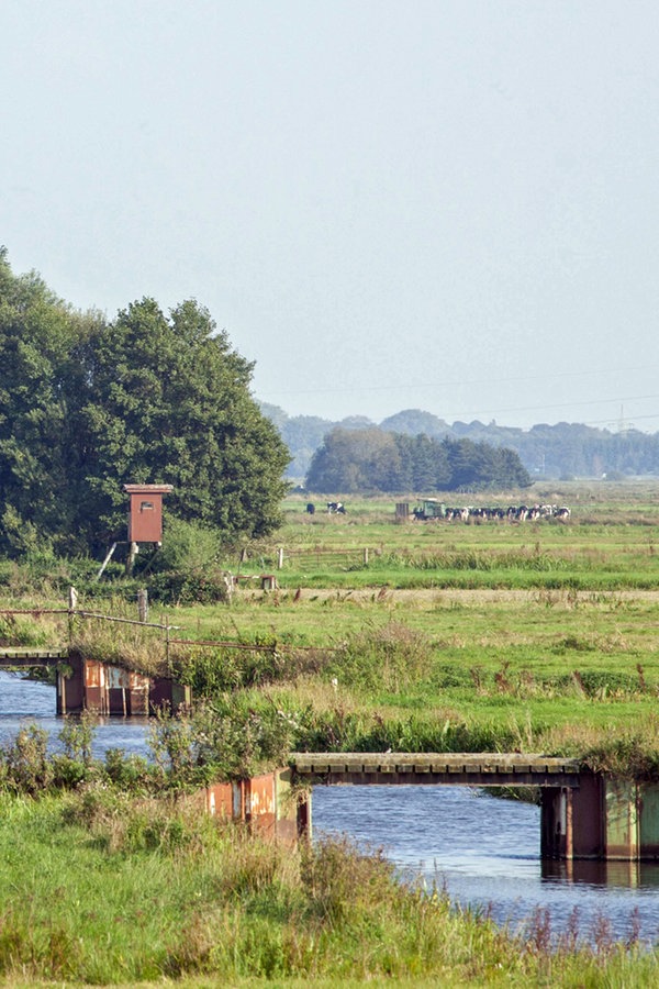 Blockland - Bremens ländlicher Stadtteil | NDR.de - Ratgeber - Reise