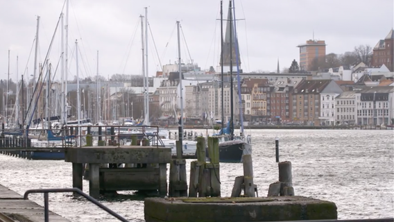 Blick auf den Hafen in Flensburg © NDR 