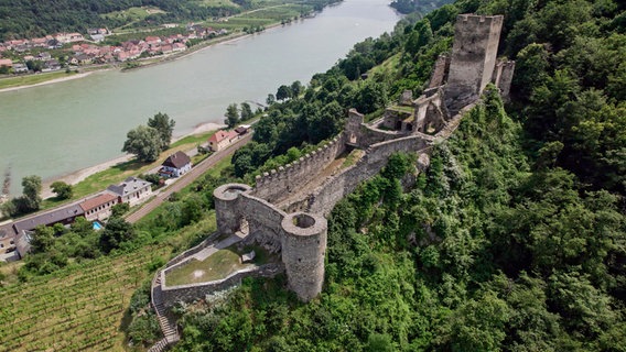 Die Ruine Spitz hoch über der Donau in der Wachau. © NDR 