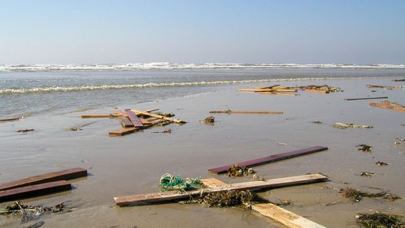 Strandgut am Strand von St Peter-Ording. © NDR Foto: Rolf Harms