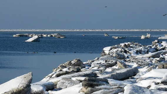 Winter an der Küste an der Meldorfer Bucht. © NDR Foto: Daniela Waskow