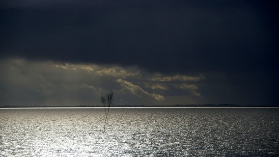 Dunkle Wolken aber auch ein wenig Licht über dem niedersächsischen Wattenmeer. © NDR Foto: Holger Geister