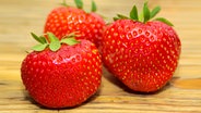 Drei Erdbeeren der Sorte "Senga Sengana" © Fotolia.com Foto: hopfi23