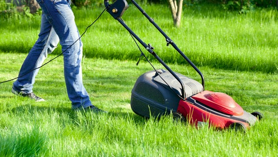 Rasen Pflegen Mahen Und Dungen Die Besten Tipps Ndr De Ratgeber Garten